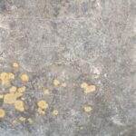 Cum intervenim în cazul betonului contaminat
